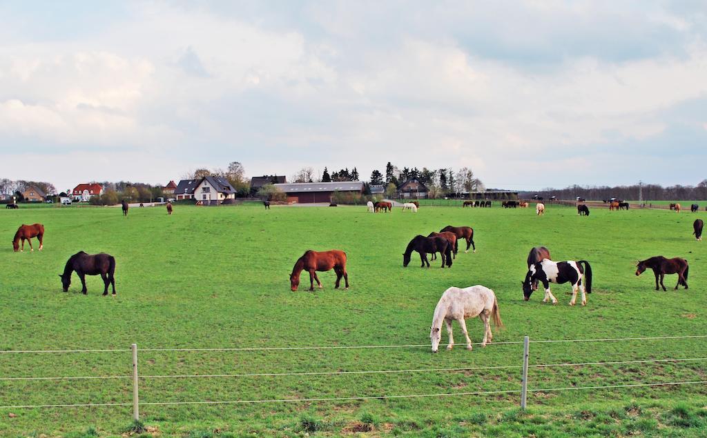 Ferienwohnung Bergblick Xanten Esterno foto